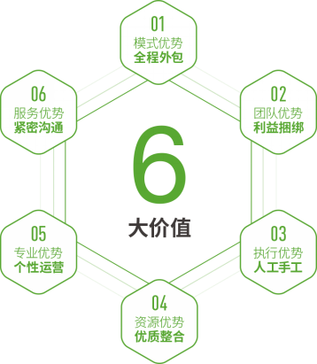 6大价值